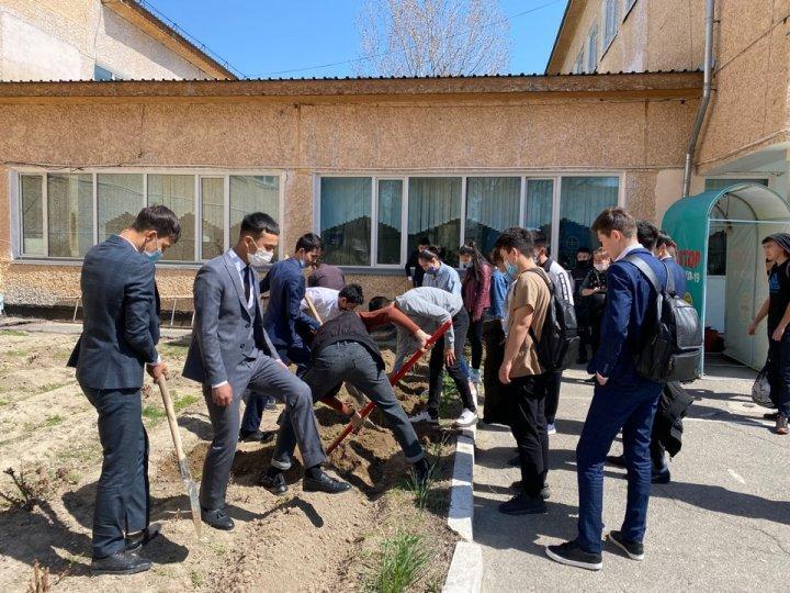 Мектеп алаңын көгалдандыру